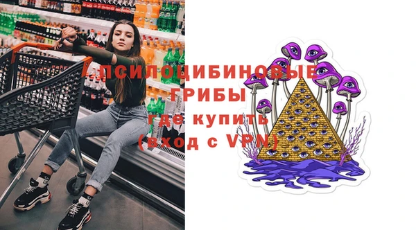 прущие грибы Алексин