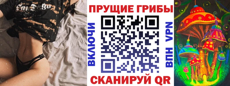 купить   Щучье  Псилоцибиновые грибы прущие грибы 