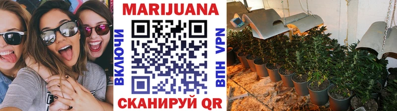 Бошки Шишки планчик  дарк нет состав  Щучье  наркотики 